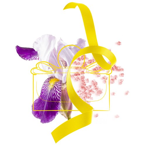 Signorina Libera - Eau de Parfum 8052464893317 Signorina Libera - Eau de Parfum 8052464893317